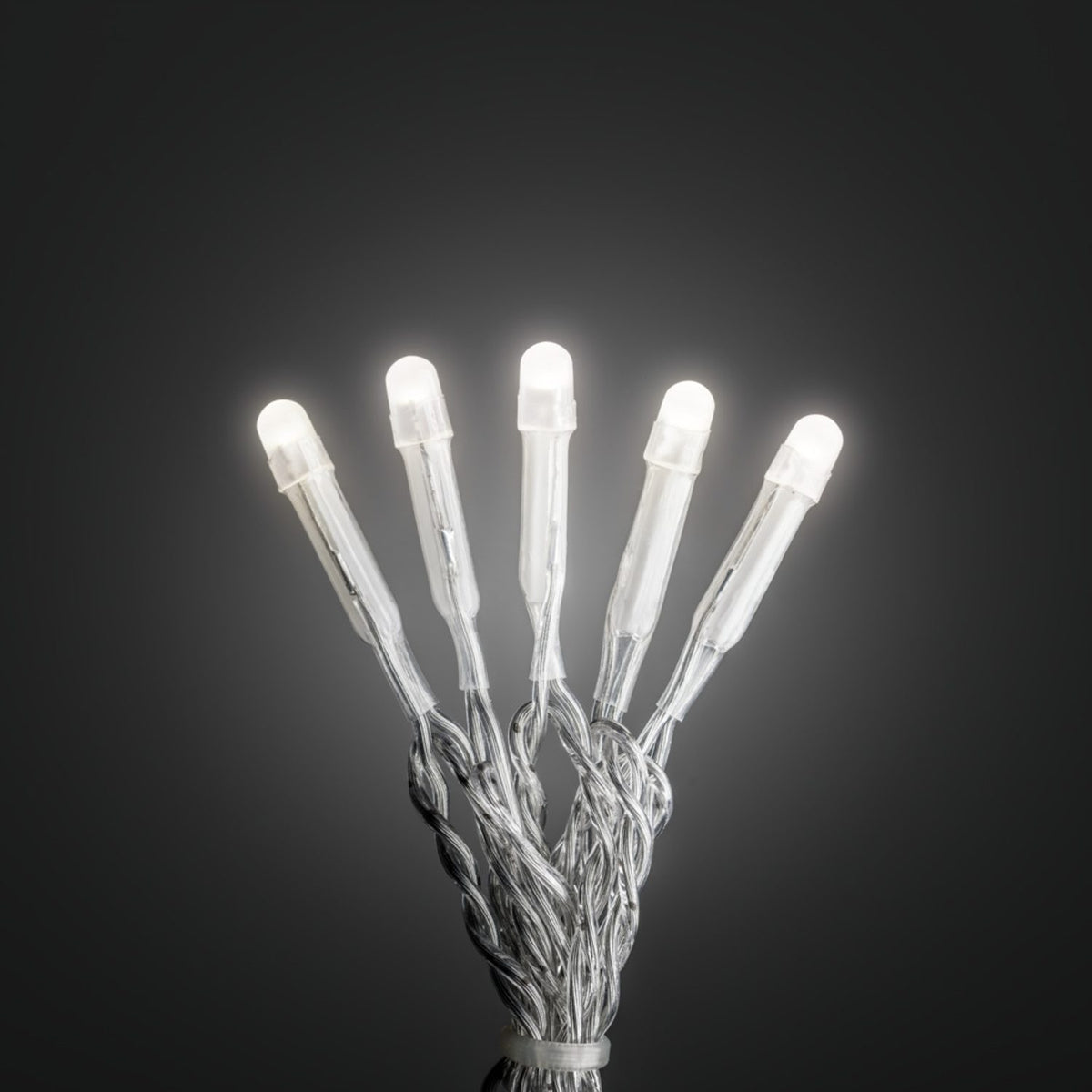 LED Frostad Topp Ljusslinga Inomhus 10 Lampor (0.63m), Varmvit/Transparent Kabel