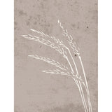 Frön Poster Beige, 30 x 40 cm
