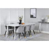 Polar, Velvet Rektangulär matgrupp Svart,Guld,Grå, Vit, 180 x 90