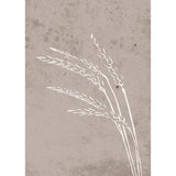 Frön Poster Beige, 50 x 70 cm