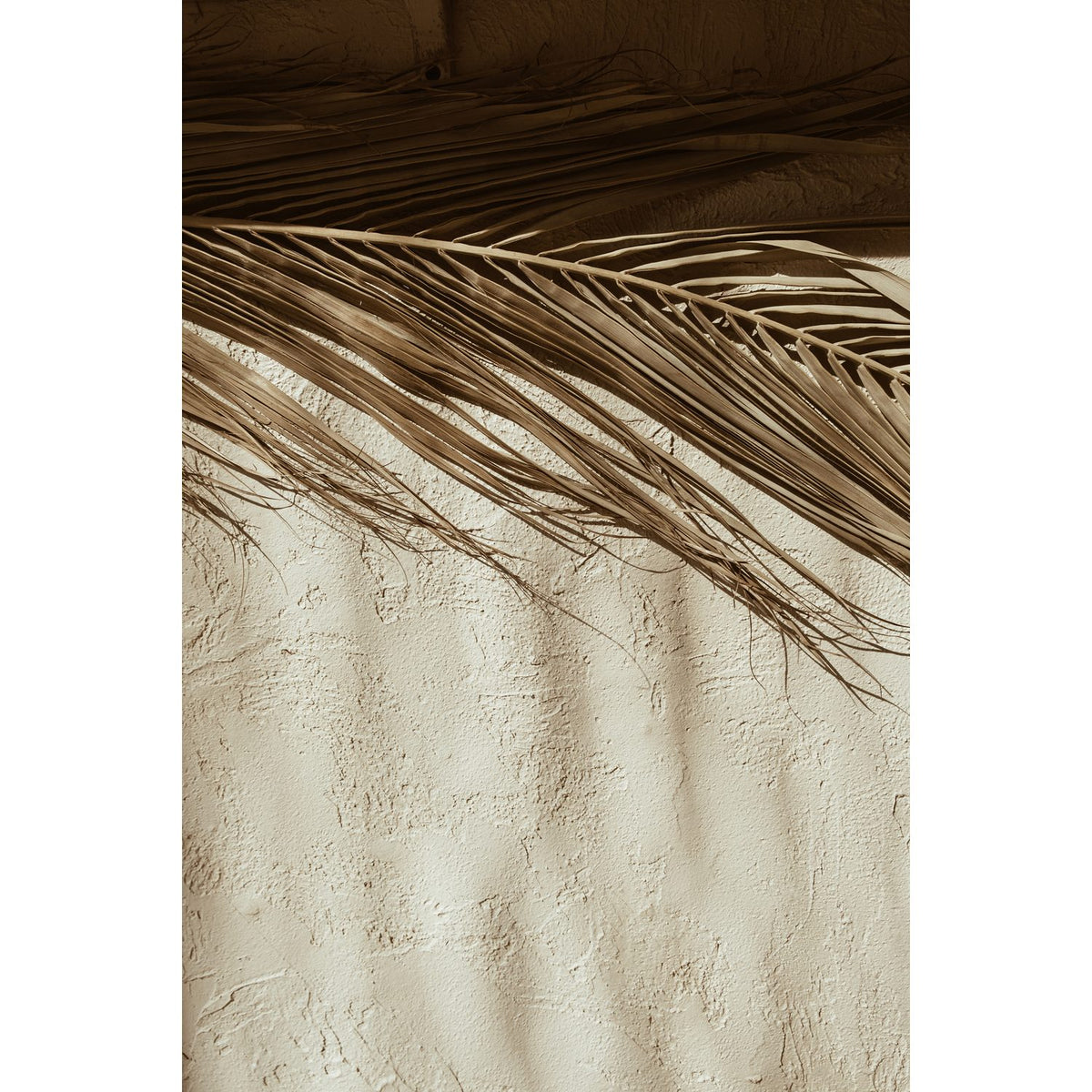 Öken Poster Beige