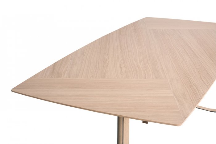 Fusion Matbord 220x100 cm Wood